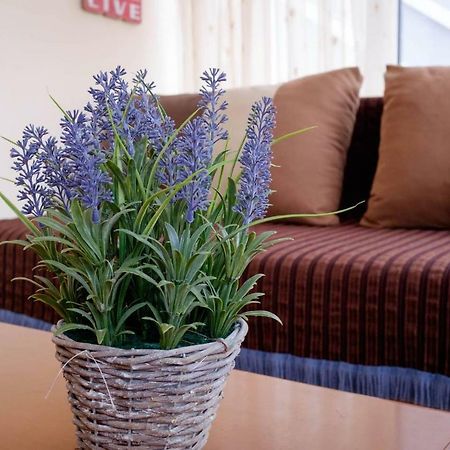 Nice & Quiet Apartment In Best Area Александроуполис Экстерьер фото